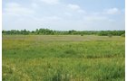 Property photo 46 - 1,025 Acres in 24 Tracts - Exellent Recreation Opportunity - Potential Building Sites - 11 Lakes & Ponds